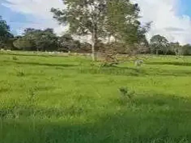 Fazenda venda em Região Geográfica Imediata de Rondonópolis, Rondonópolis