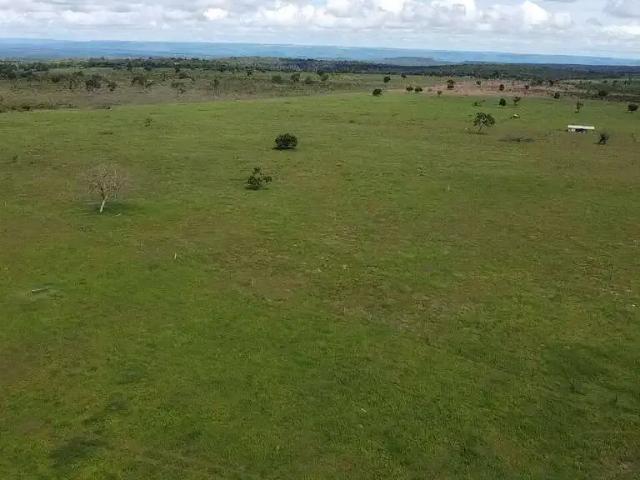 Fazenda venda em Região Geográfica Imediata de Rondonópolis, Rondonópolis