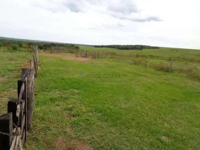 Fazenda venda em Região Geográfica Imediata de Rondonópolis, Rondonópolis