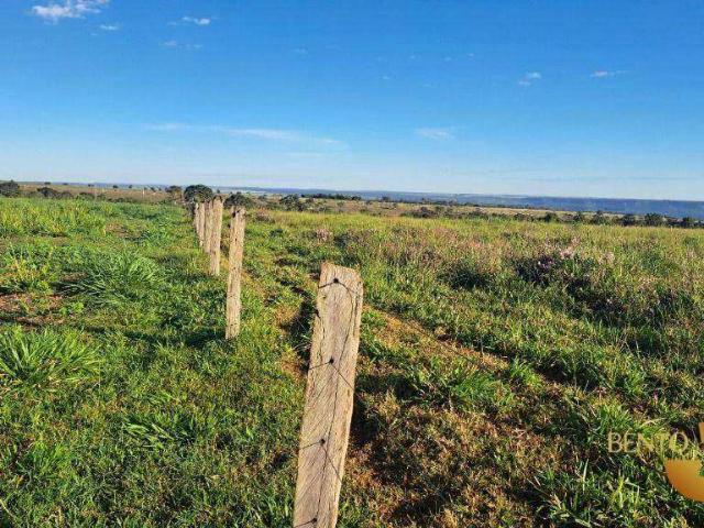 Fazenda venda em Loteamento Jambalaia, Rondonópolis