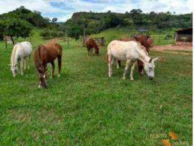 Fazenda venda em Loteamento Jambalaia, Rondonópolis