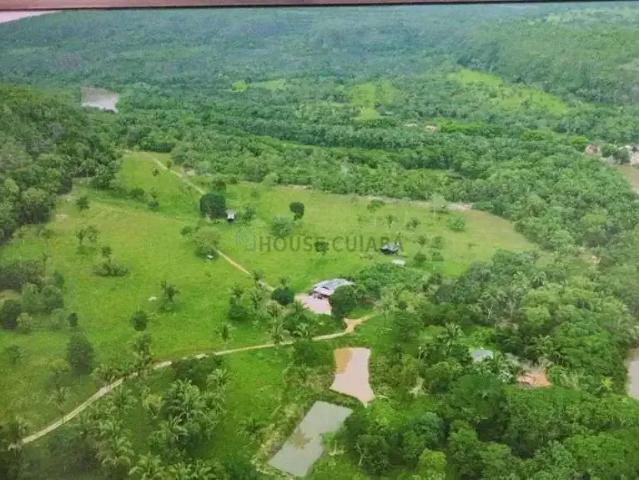 Fazenda venda em Região Geográfica Imediata de Rondonópolis, Rondonópolis
