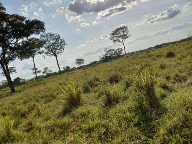 Fazenda venda em São José, Rondonópolis