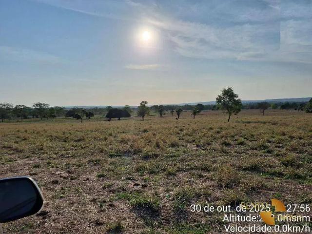 Fazenda venda em Região Geográfica Imediata de Rondonópolis, Rondonópolis