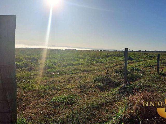 Fazenda venda em Rondonópolis, Região Geográfica Intermediária de Rondonópolis