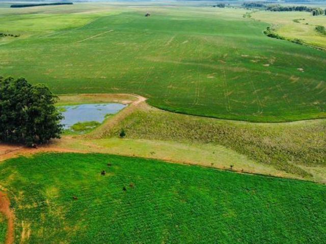 Sítio e chácara venda em Região Geográfica Imediata de Santana do Livramento, Rosário do Sul