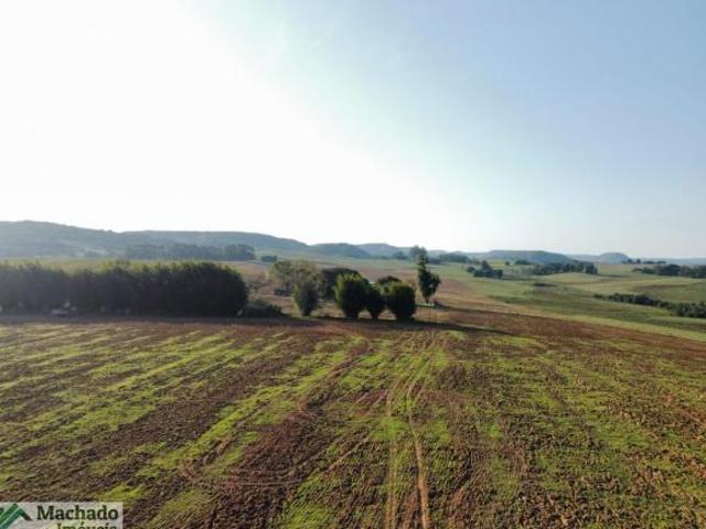 Sítio e chácara venda em Região Geográfica Imediata de Santana do Livramento, Rosário do Sul