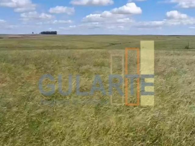 Sítio e chácara venda em Rosário do Sul