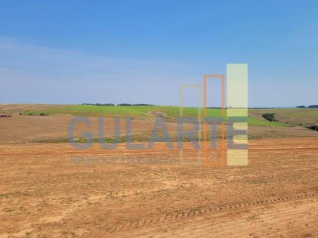 Sítio e chácara venda em Região Geográfica Imediata de Santana do Livramento, Rosário do Sul