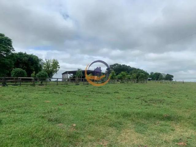 Fazenda venda em Região Geográfica Imediata de Santana do Livramento, Rosário do Sul