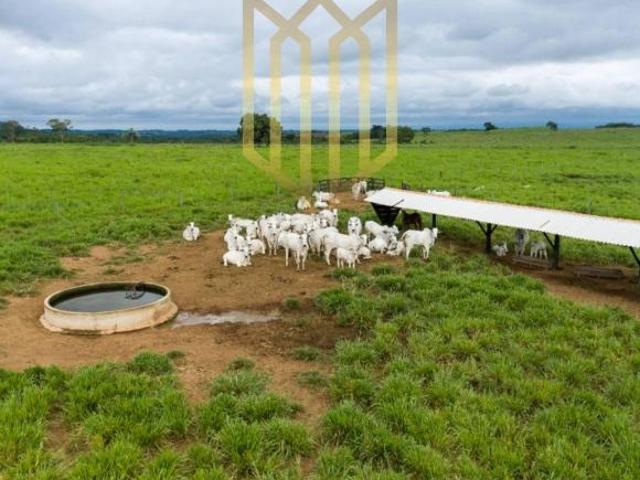 Sítio e chácara venda em Região Geográfica Imediata de Cuiabá, Rosário Oeste