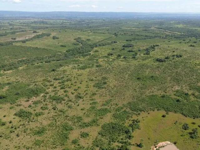 Fazenda venda em Região Geográfica Imediata de Cuiabá, Rosário Oeste