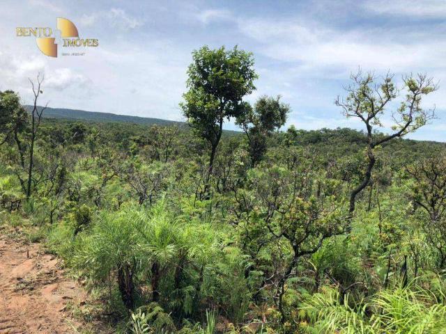 Fazenda venda em Nossa Senhora de Aparecida, Rosário Oeste