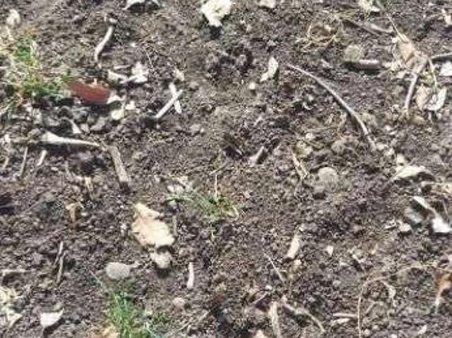 Fazenda venda em Nossa Senhora de Aparecida, Rosário Oeste