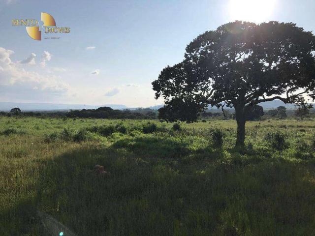 Fazenda venda em Nossa Senhora de Aparecida, Rosário Oeste