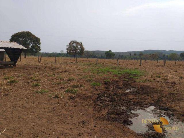 Fazenda venda em Nossa Senhora de Aparecida, Rosário Oeste
