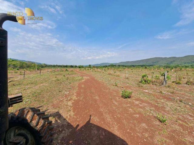 Fazenda venda em Nossa Senhora de Aparecida, Rosário Oeste