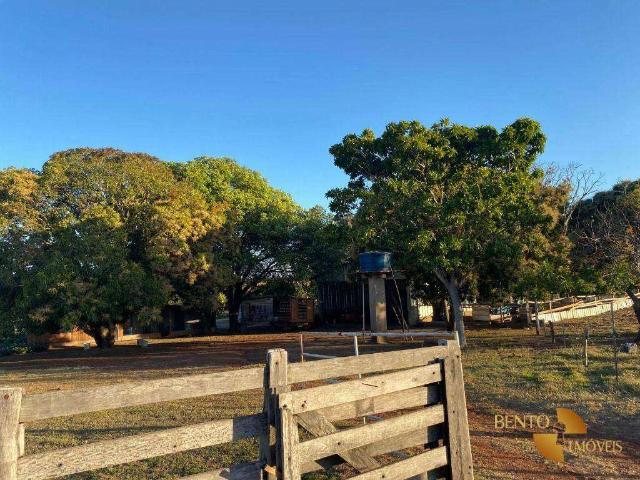 Fazenda venda em Nossa Senhora de Aparecida, Rosário Oeste