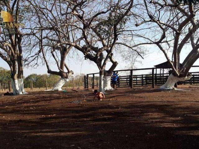 Fazenda venda em Nossa Senhora de Aparecida, Rosário Oeste