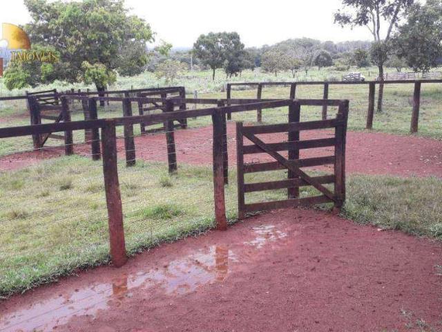 Fazenda venda em Nossa Senhora de Aparecida, Rosário Oeste