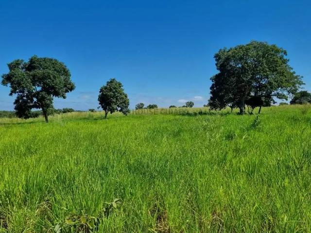 Fazenda venda em Região Geográfica Imediata de Cuiabá, Rosário Oeste