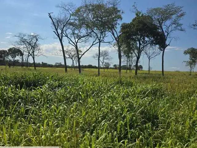 Fazenda venda em Região Geográfica Imediata de Cuiabá, Rosário Oeste