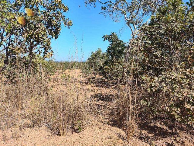 Fazenda venda em Nossa Senhora de Aparecida, Rosário Oeste