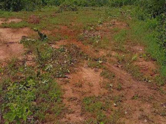 Fazenda venda em Nossa Senhora de Aparecida, Rosário Oeste