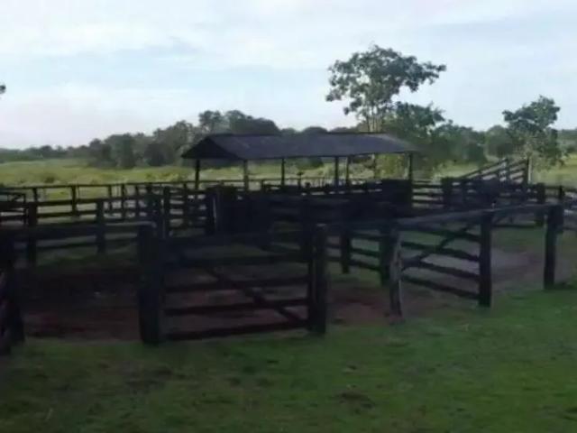 Fazenda venda em Região Geográfica Imediata de Cuiabá, Rosário Oeste