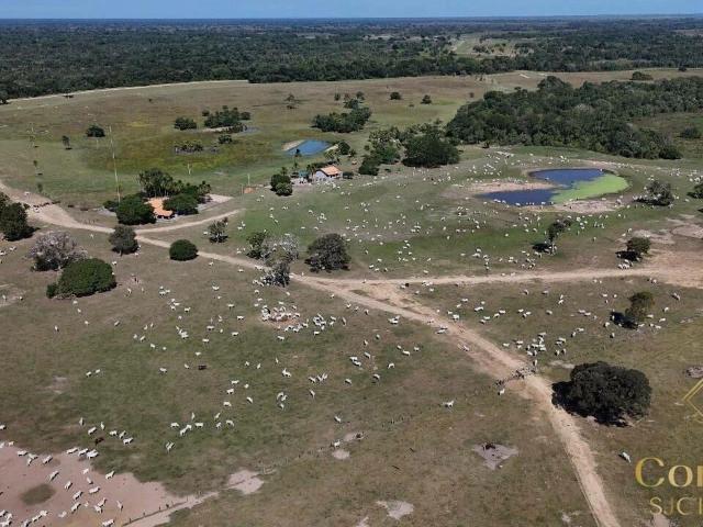 Fazenda venda em Nossa Senhora de Aparecida, Rosário Oeste