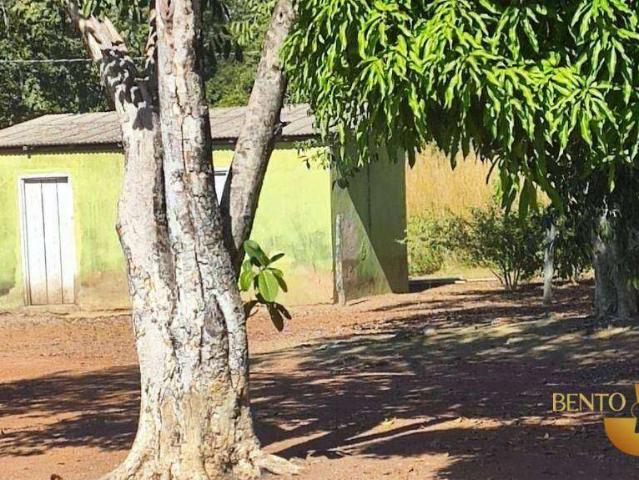 Fazenda venda em Nossa Senhora de Aparecida, Rosário Oeste
