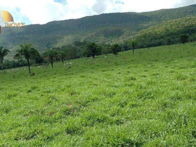 Fazenda venda em Nossa Senhora de Aparecida, Rosário Oeste