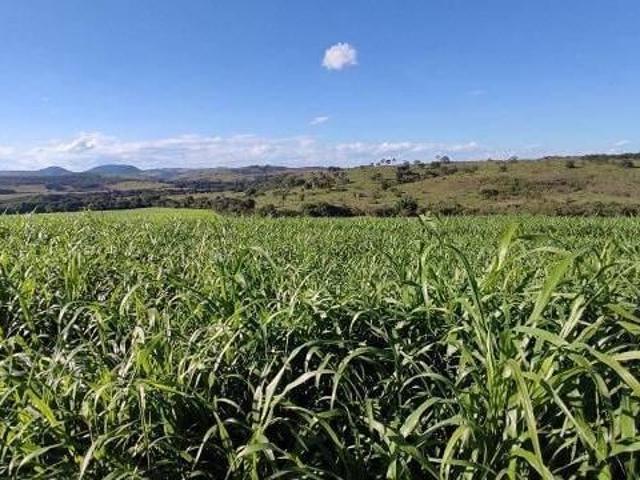Sítio e chácara venda em Região Geográfica Imediata de Oliveira, Oliveira