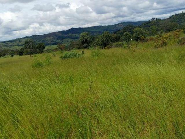 Sítio e chácara venda em Região Geográfica Imediata de Goiânia, Goiânia