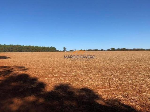 Sítio e chácara venda em Região Imediata de São Carlos, São Carlos