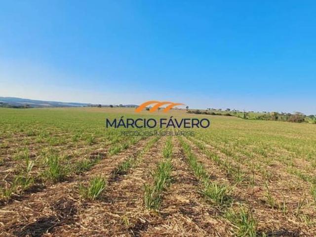 Sítio e chácara venda em Região Imediata de São Carlos, São Carlos