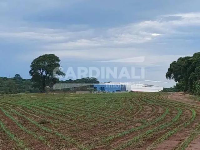 Fazenda venda em Região Imediata de São Carlos, São Carlos