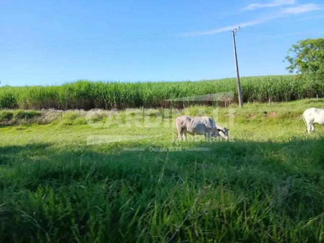 Fazenda venda em Região Imediata de São Carlos, São Carlos