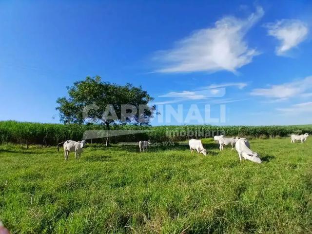 Fazenda venda em Região Imediata de São Carlos, São Carlos