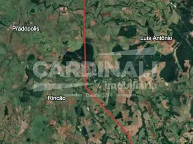 Fazenda venda em Região Imediata de São Carlos, São Carlos