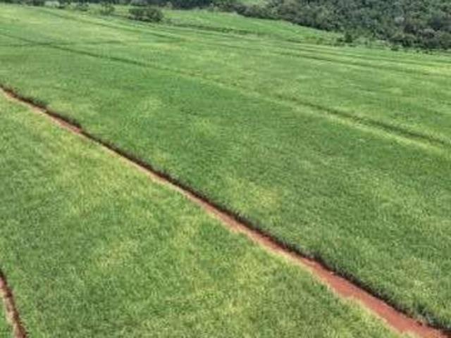 Fazenda venda em Região Imediata de São Carlos, São Carlos