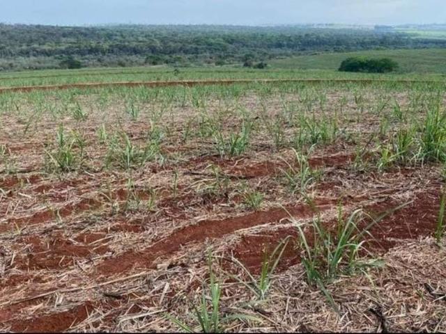 Fazenda venda em Região Imediata de São Carlos, São Carlos