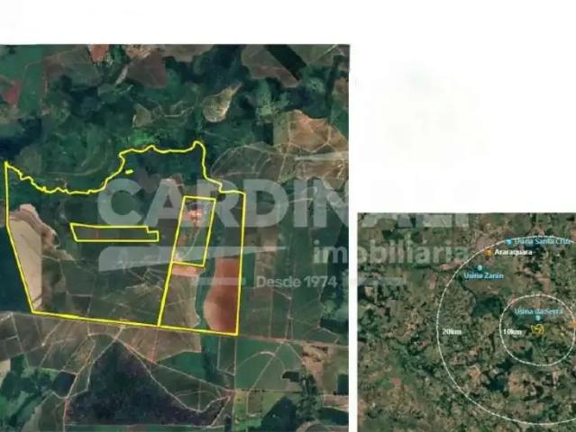Fazenda venda em Região Imediata de São Carlos, São Carlos