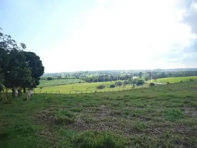 Fazenda venda em Região Imediata de São Carlos, São Carlos