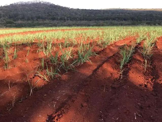 Fazenda venda em Região Imediata de São Carlos, São Carlos