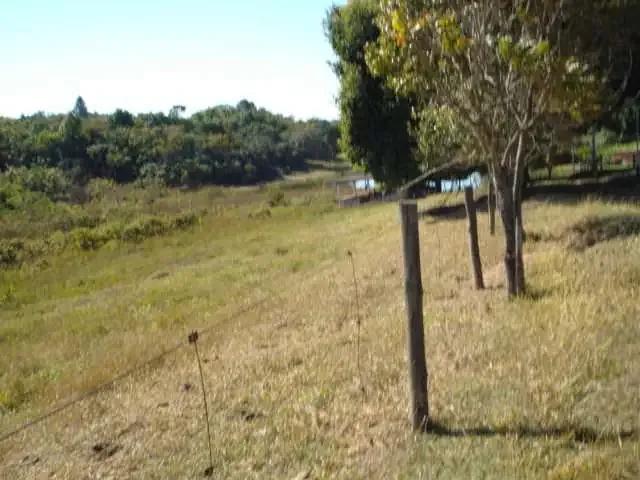 Fazenda venda em Região Imediata de São Carlos, São Carlos