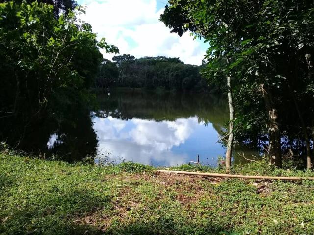 Fazenda venda em São Carlos, Região Geográfica Intermediária de Araraquara