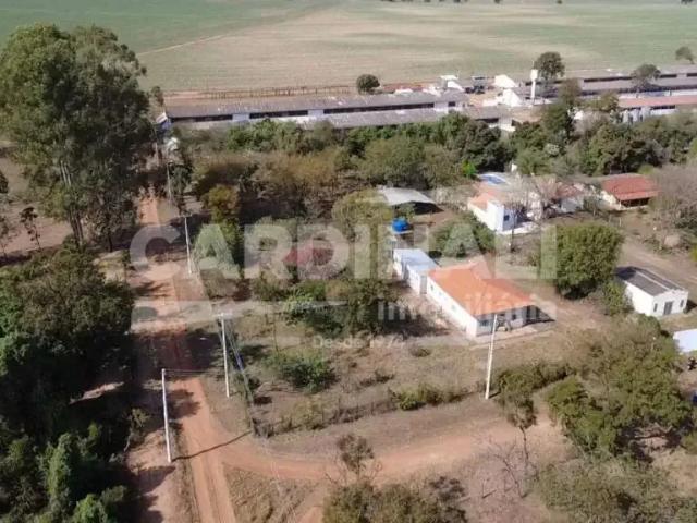 Fazenda venda em Região Imediata de São Carlos, São Carlos