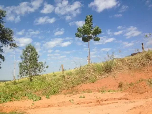 Fazenda venda em Região Imediata de São Carlos, São Carlos