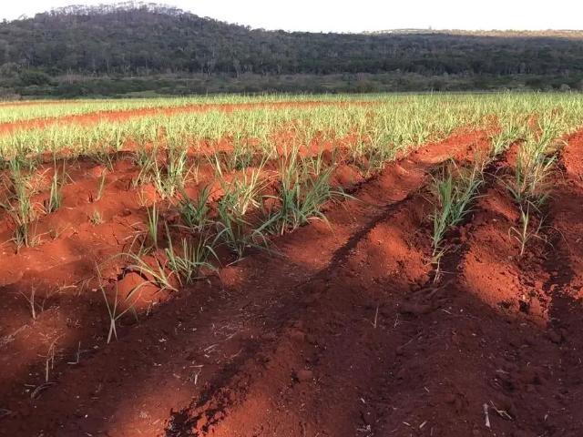 Fazenda venda em Região Imediata de São Carlos, São Carlos